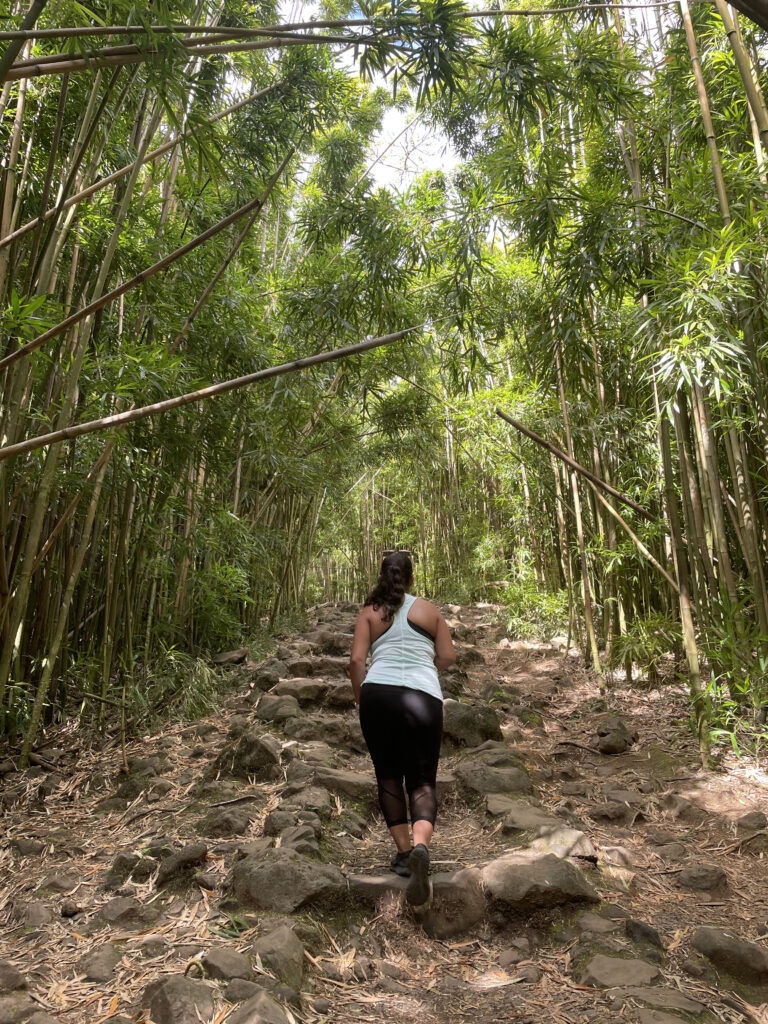 hike with bamboo forest