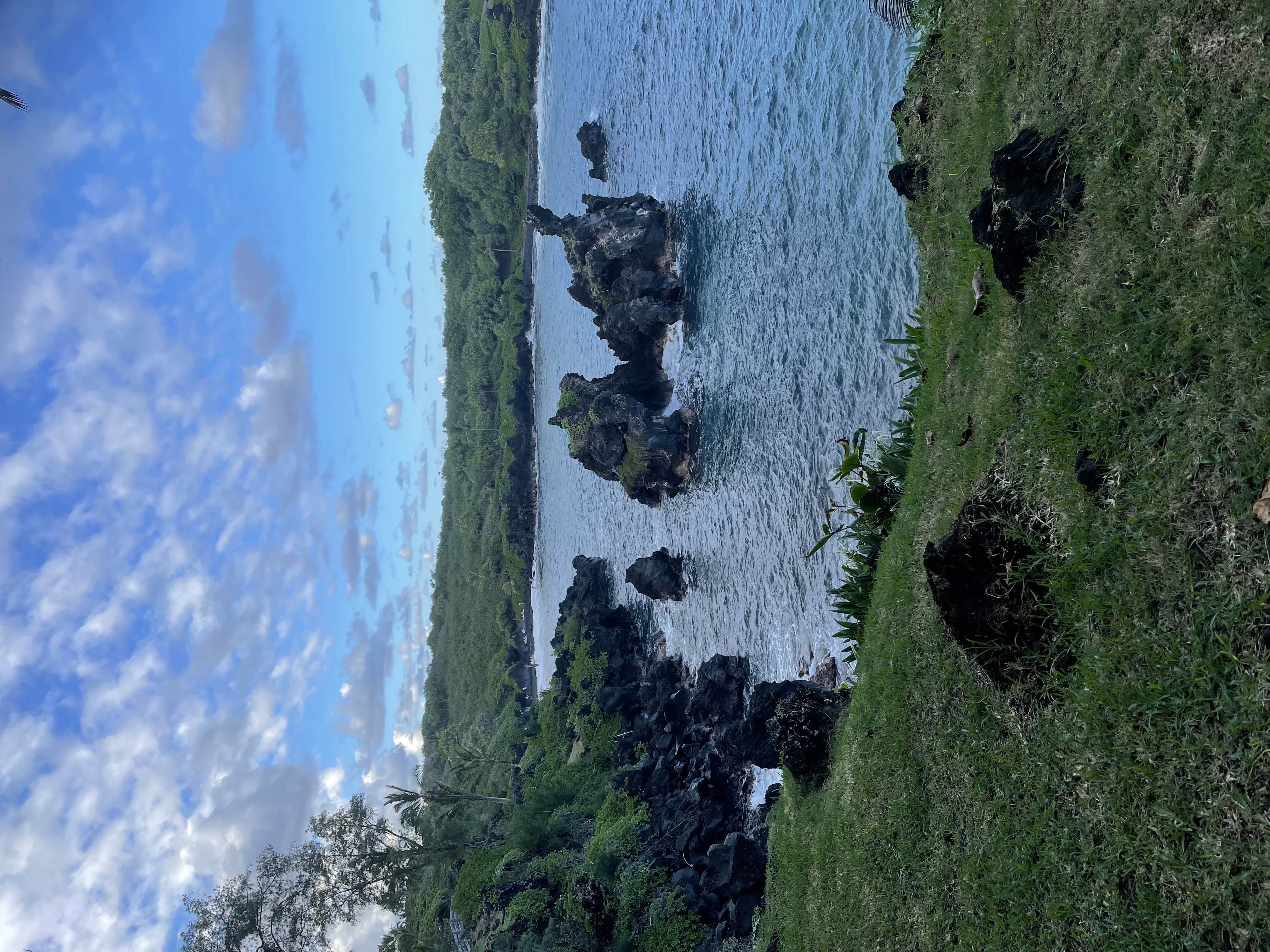 Black Sand beach with rock formations and green grass